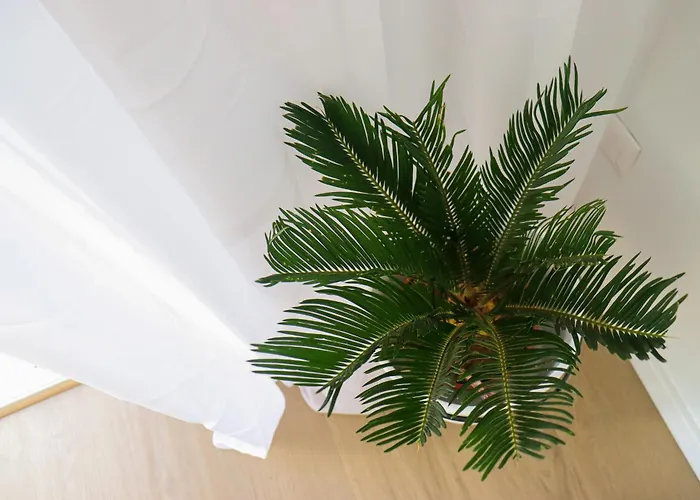 Janna I - Your Cozy Family Apartment *